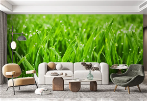 کاغذ دیواری سه بعدی نمای نزدیک چمن های سرسبز