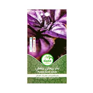 بذر ریحان بنفش محبت مدل purple basil