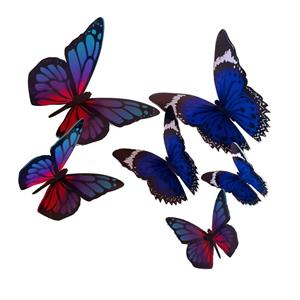 پروانه تزیین کیک مدل k5 مجموعه 6 عددی