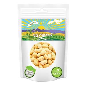 بادام زمینی روکش دار با طعم قارچ و خامه دستچین کالا - 600 گرم