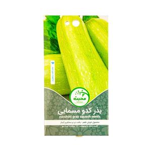 بذر کدو مسمایی محبت مدل zucchini