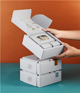 طراحی جعبه و بسته بندی