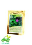 بذرگیاه لاله عباسیFlowerSeed باخلوص94درصد ازشرکت پاکبان 