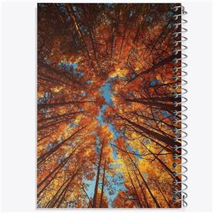 دفتر مشق 50 برگ خندالو طرح جنگل پاییزی کد F1317