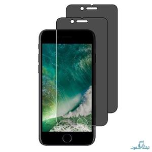 Privacy Full GlueTempered Glass Screen Protector For Apple iPhone 5s 