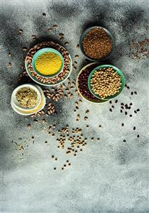 فرش آشپزخانه طرح نخود و لوبیا کد AHC-892-1