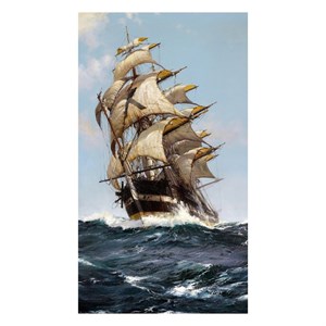 تابلو شاسی مدل نقاشی کلاسیک کشتی Classic Painting