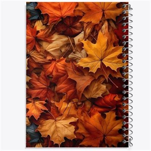 دفتر نقاشی 50 برگ خندالو طرح پاییز کد F1318