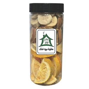 مخلوط میوه خشک پفکی خونه مادرجون - 100 گرم