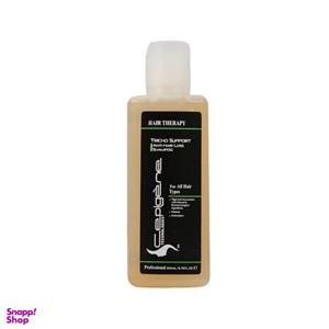 شامپو ضد ریزش و تقویت کننده مو سپیژن مدل CHEVEUX SECS4 حجم 200 میلی لیتر