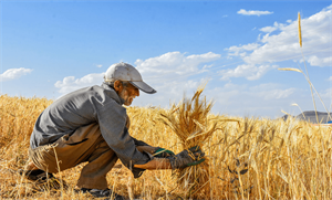 پاورپوینت تولید ملی وحمایت از کار و سرمایه ایرانی