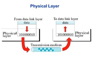 پاورپوینت لایه فیـزیکی Physical Layer