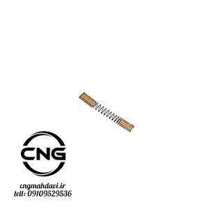 فنر ریل سوخت رج ( REG )