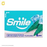 آدامس استیک اسمایل (Smile) طعم اکالیپتوس شیرین عسل وزن 12 گرمی