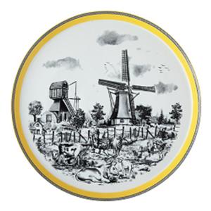 دیس زی مدل فرم اس 33 ویلیج درجه یک
