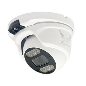دوربین مداربسته تحت شبکه رایمون مدل 8 مگاپیکسل کد H52