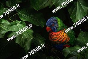 دانلود عکس پرنده زیبا