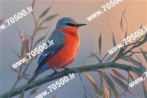 عکس پرنده مناسب طراحی