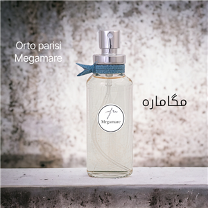 ادکلن، مگامار، ارتو پاریسی، (megamare)، puloie parfums، حجم ۴۰ میل