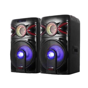 اسپیکر حرفه ای آیوا | مدل 2121 پرو | دارای 2 ساب 12 اینچی