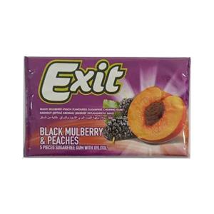 آدامس اکسیت Exit MULBERRY & PEACHES با طعم توت و هلو فاقد قند 11 گرم