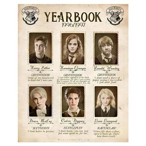 تابلو شاسی مدل هری پاتر کد 4544