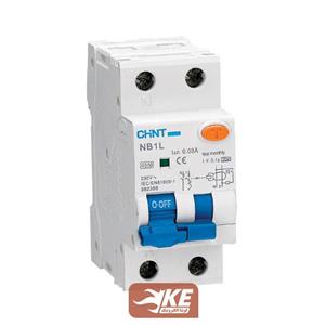 کلید محافظ جان دو پل 25 آمپر ترکیبی چینت سری NB1L-40