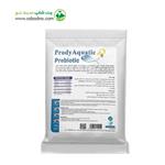 مکمل پری بیوتیک و تقویت کننده سیستم ایمنی آبزیان مدل Prody Aquatic حجم 500 گرم 