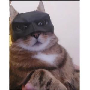 ماسک گربه مدل Batman