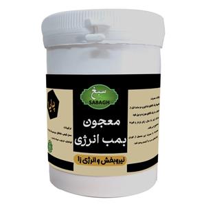 معجون عسل و جینسینگ سبغ - 250 گرم