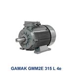 الکتروموتور سه فاز گاماک مدل GAMAK GMM2E 315 L 4e