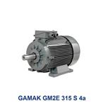 الکتروموتور سه فاز گاماک مدل GAMAK GM2E 315 S 4a