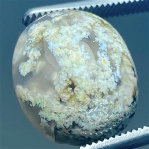 نگین عقیق  نگین شجر بهاره شکوفه دار بینظیر