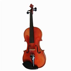 ویولن رناتو R-220 سایز 2/4