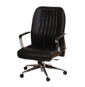 صندلی معاونتی طبی گلدسیت مدل اسکار – کد E2040G