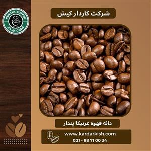 دانه قهوه عربیکای قهوه پندار - 1000 گرم