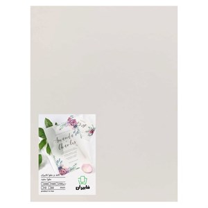 مقوا فابیران مدل کارتی160 سایز 21x30 سانتی متر بسته 10 عددی