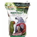 دان مخلوط منیتوبا طوطی سانان بزرگ و متوسط PARROTS PLANET MANITOBA