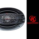 بلندگو بیضی کاشیاما مدل KA-F-6950