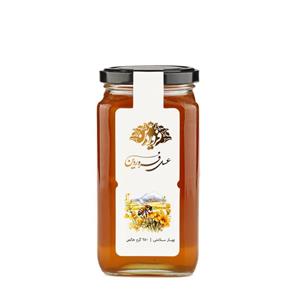 عسل گشنیز فروردین - 650 گرم
