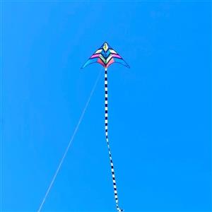 بادبادک مدل دلتا طرح هفت رنگ