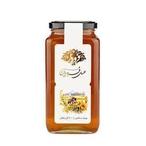 عسل گشنیز فروردین - 900 گرم