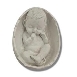 بيس خام نوزاد تخم مرغى