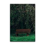 تابلو شاسی گوفی مدل طبیعت نیمکت در طبیعت طرح Nature Jungle Bench کد GRSS26