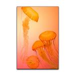 تابلو شاسی گوفی مدل طبیعت عروس دریایی طرح Nature Sea Jellyfish کد ORNG45