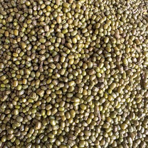 ماش نوبهار - 1 کیلوگرم