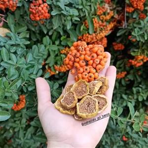 اسلایس انجیر خشک نوبهار - 500 گرم