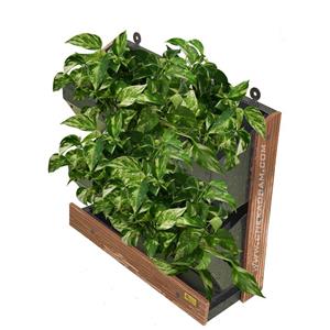 تابلو سبز خانگی کد 006