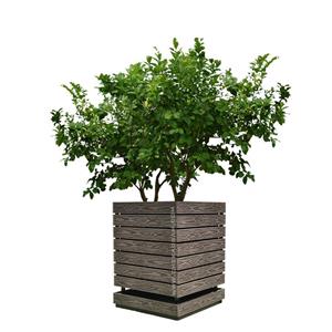 تری باکس شاسی دار با سینی تخلیه کد 007