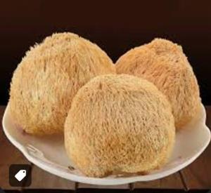 قارچ یال شیر خشک شده مهرنوش - 100 گرم